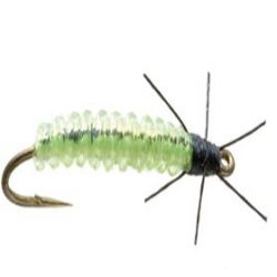 Rockworm Caddis