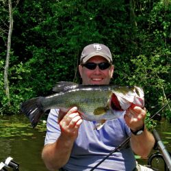 Big Largemouth Bass