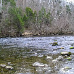 South Holston River