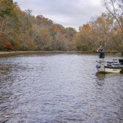 Fly Fishing Watauga River