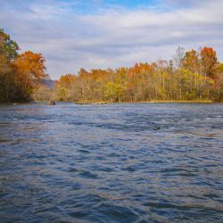 Watauga River in Fall