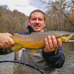 Watauga River Brown