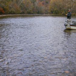 Casting Watauga River