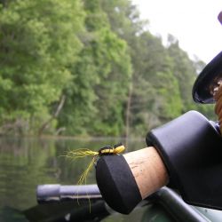 Gurgler Fly