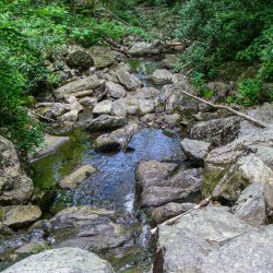 Water Fall Cabin Creek Trail