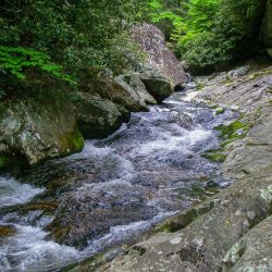 Fly Fishing Appalachia