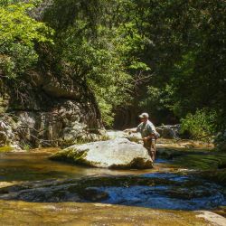 Fly Fishing NC Mountain Trout