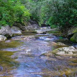 Upper Creek
