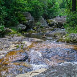 Fly Fishing Upper Creek