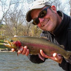Big Rainbow Trout