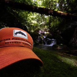 Fly Fishing Gear
