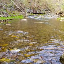 Trout Creek