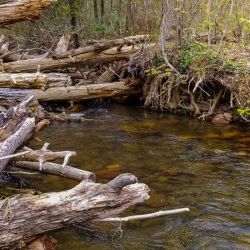 Head Waters Trout Creek