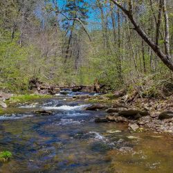 Head Waters Trout Creek