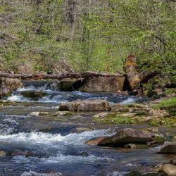 Head Waters Trout Creek