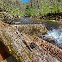 Head Waters Trout Creek