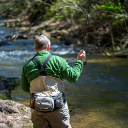Casting Fly Rod