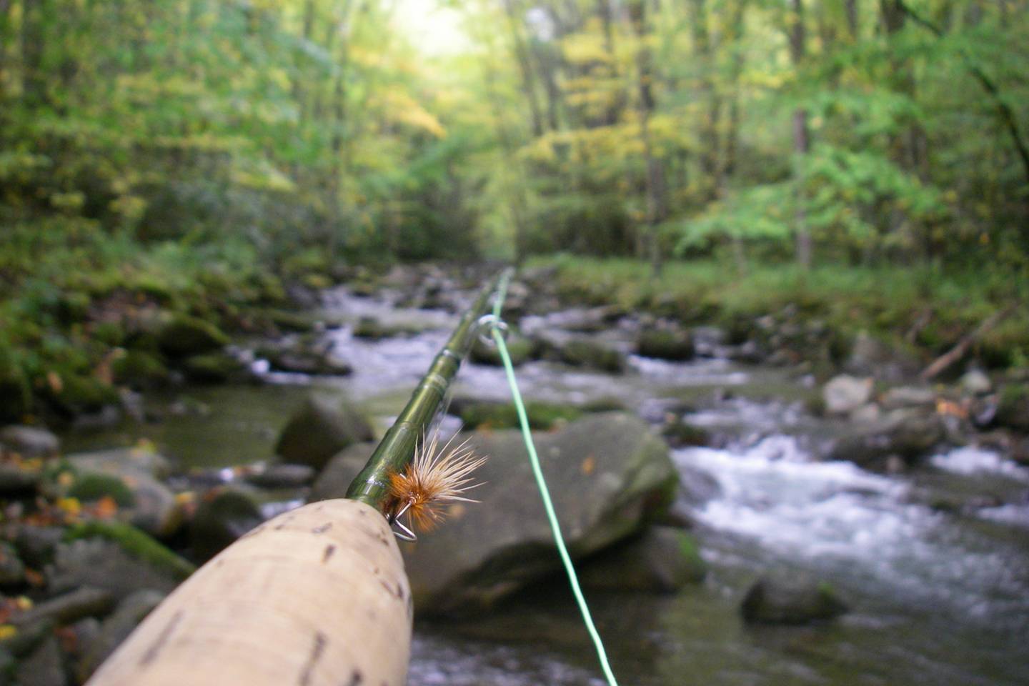 NC Stream Flow Levels
