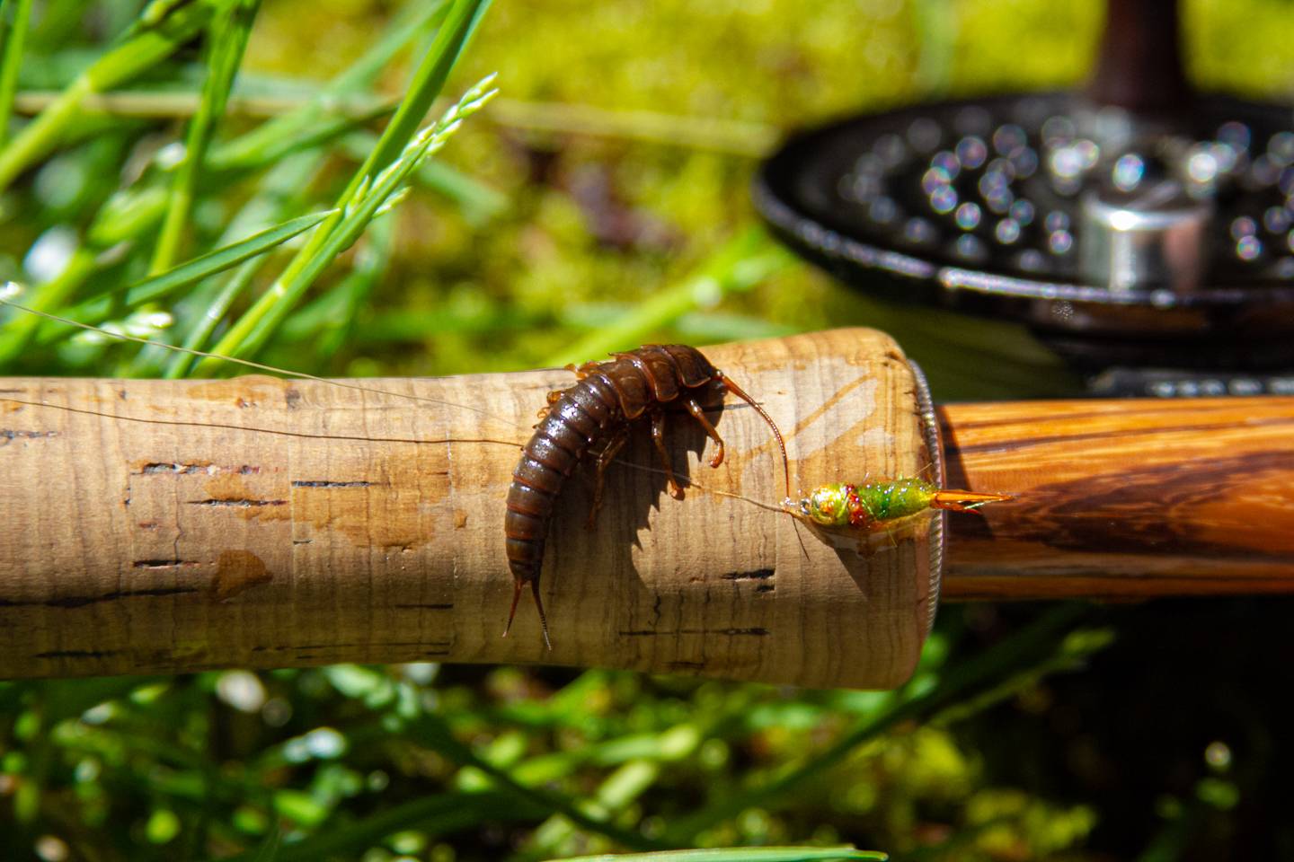 Catch and Release Artificial Flies/Lures Only NC