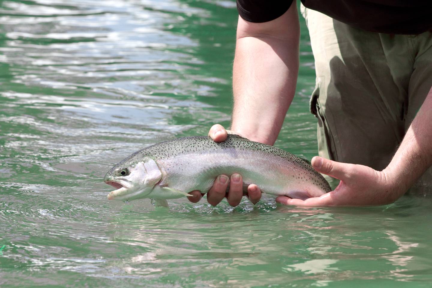 Jackson County NC Trout Streams