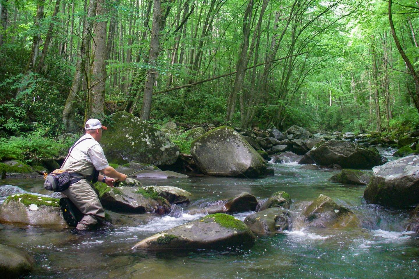 Yancey County NC Trout Streams
