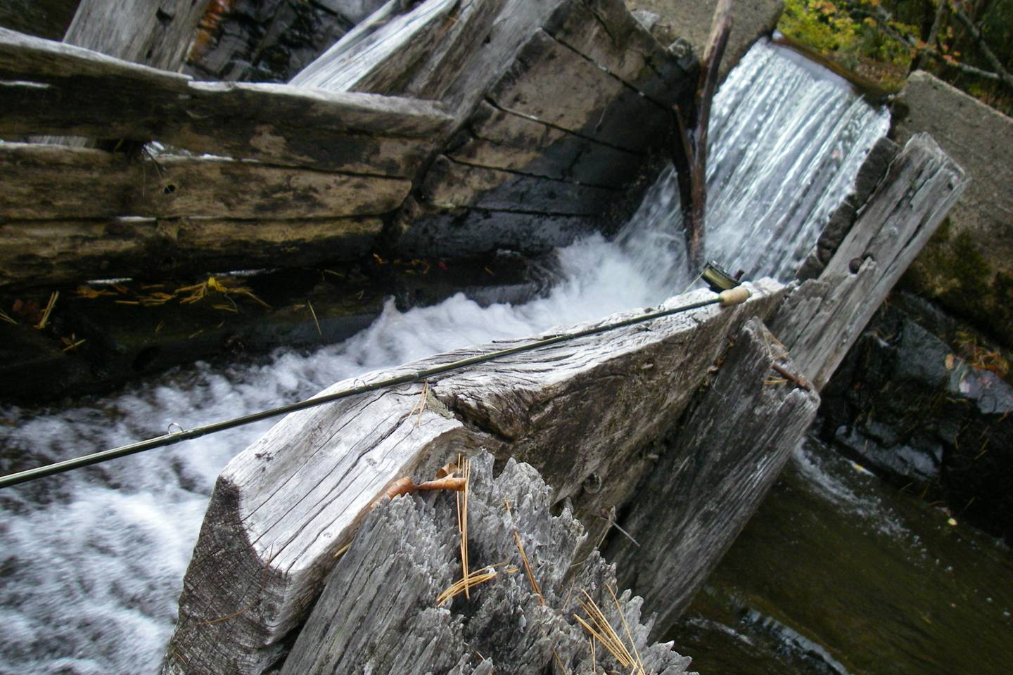 Cherokee County NC Trout Streams