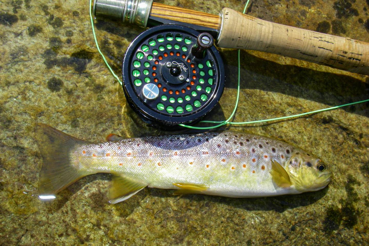 Rutherford County NC Trout Streams