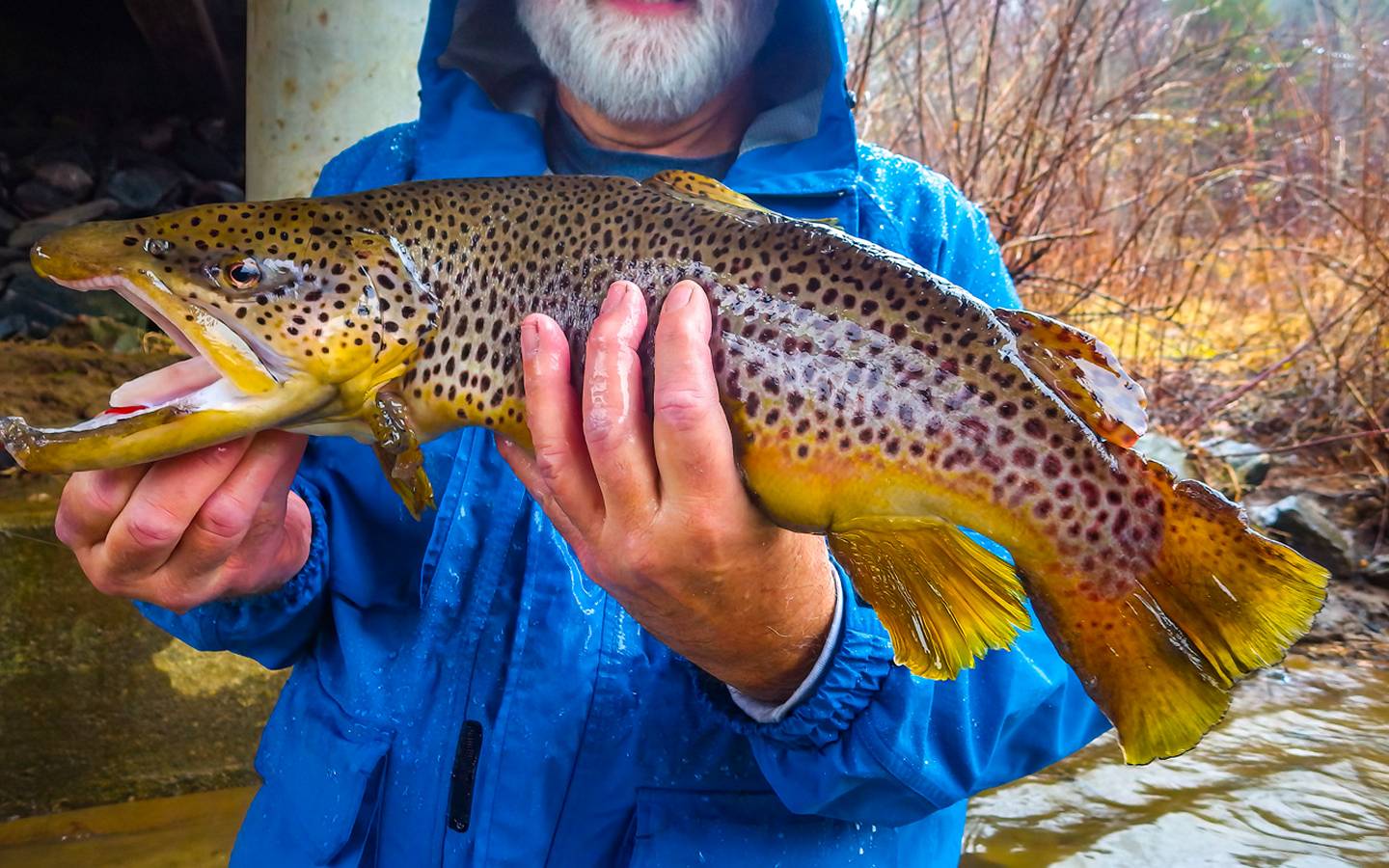 North Carolina State Fishing Regulation License