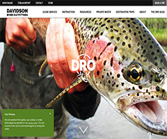 Davidson River Outfitters